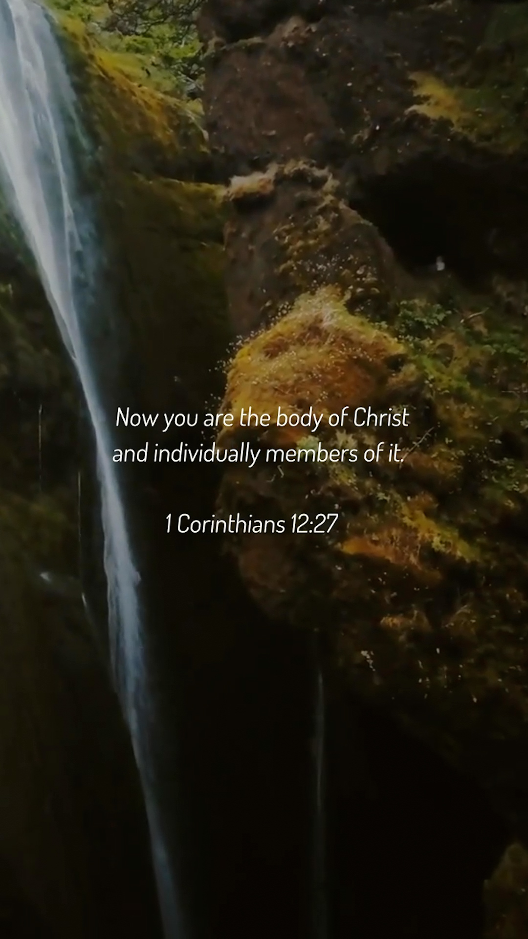 1 Corinthians 12:27