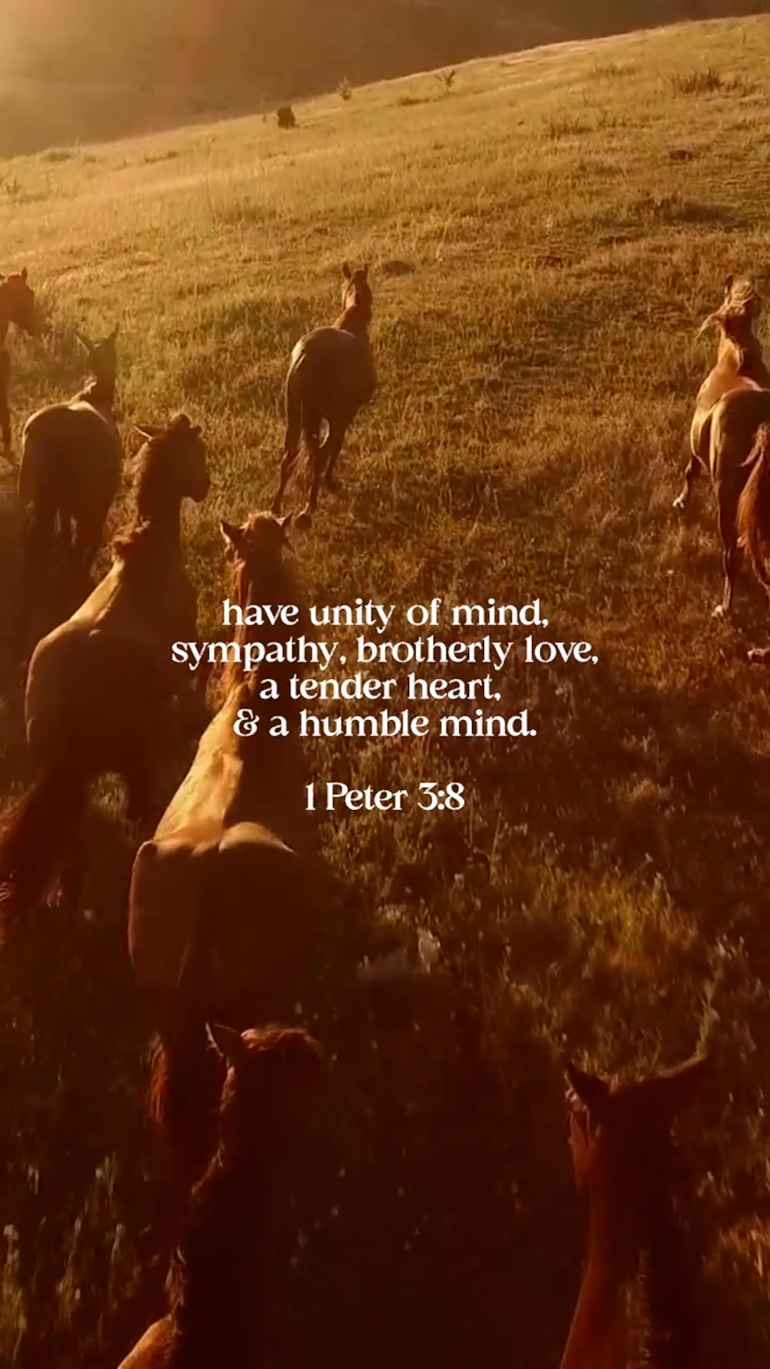 1 Peter 3:8