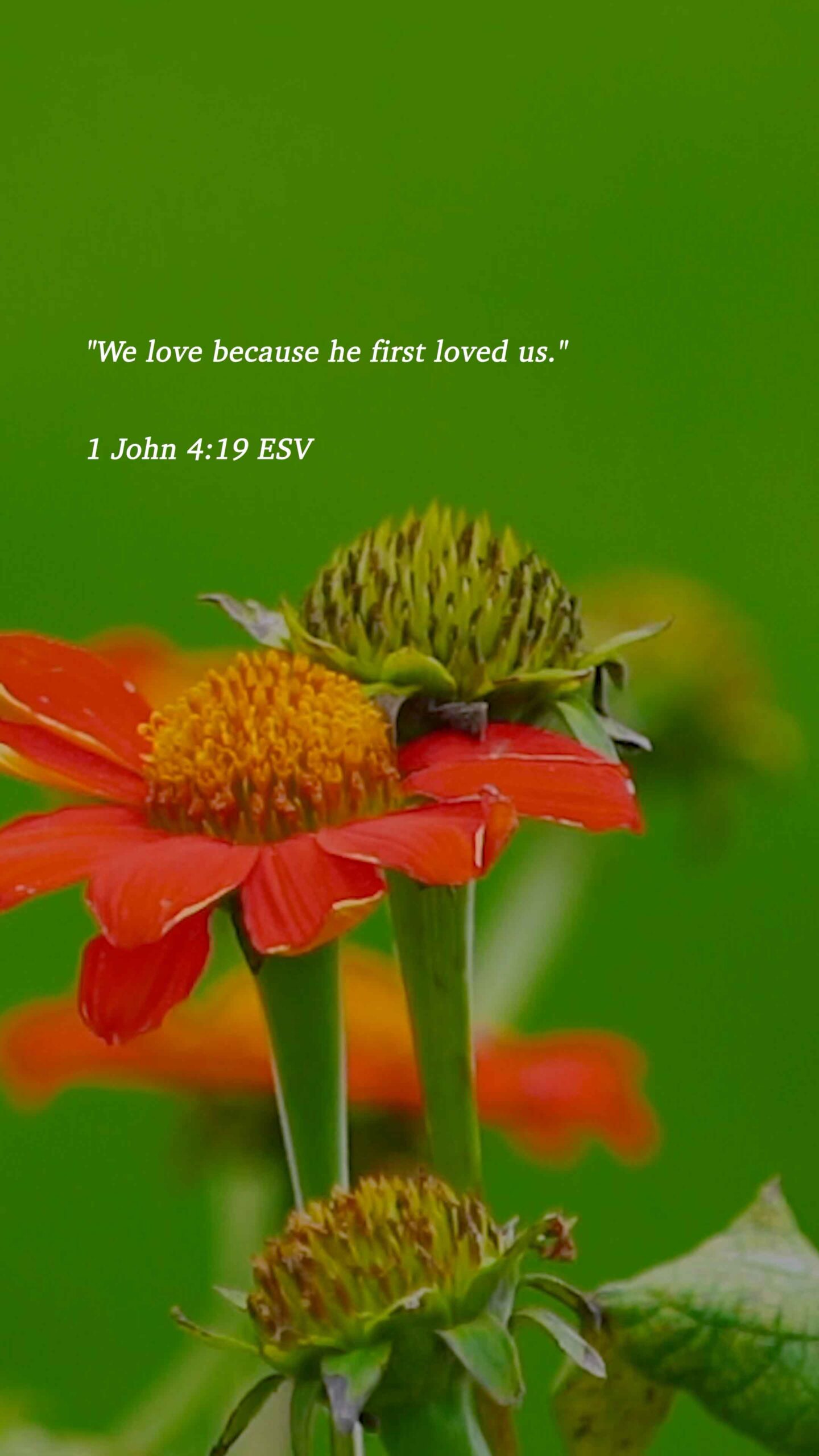 1 John 4:19