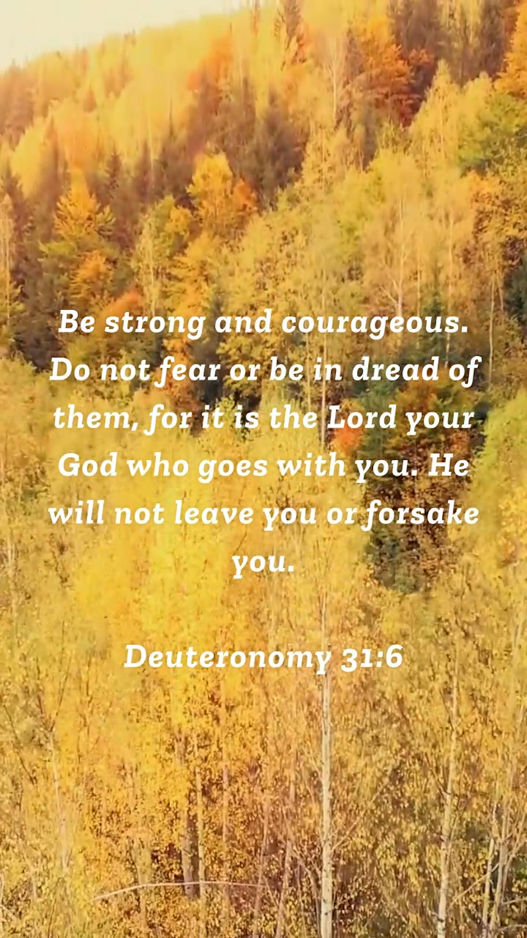 Deuteronomy 31:6