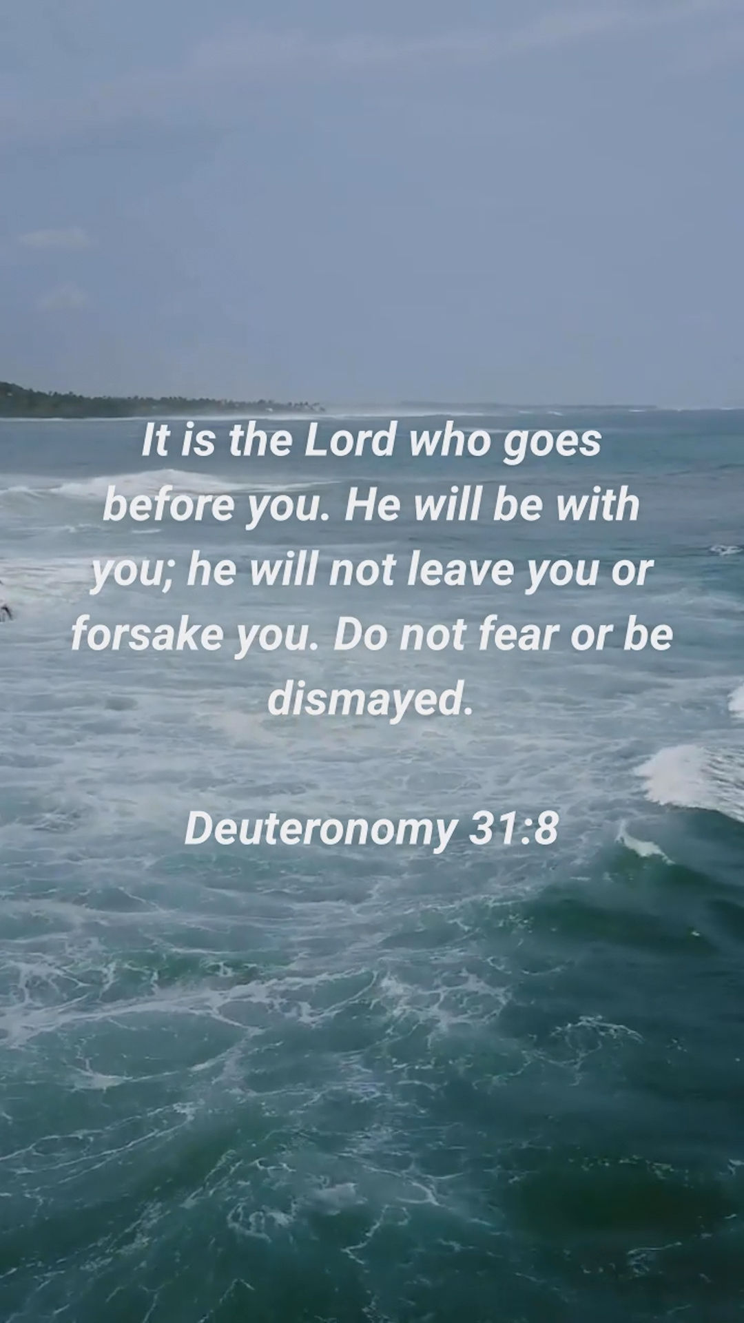 Deuteronomy 31:8