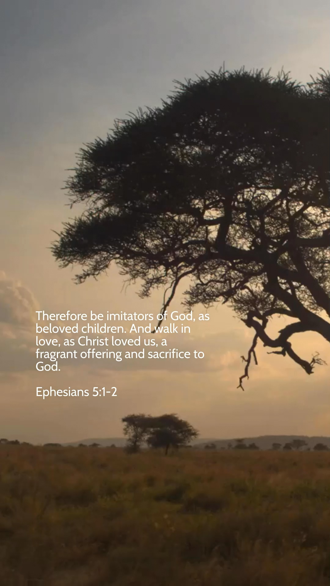 Ephesians 5:1-2