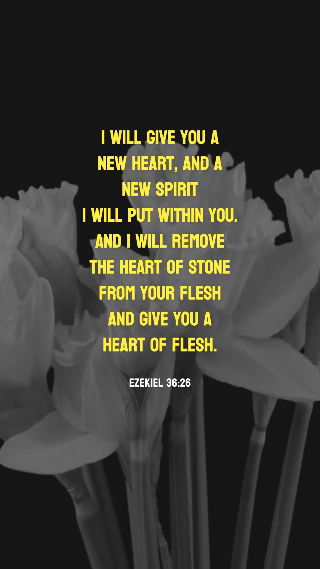 Ezekiel 36:26