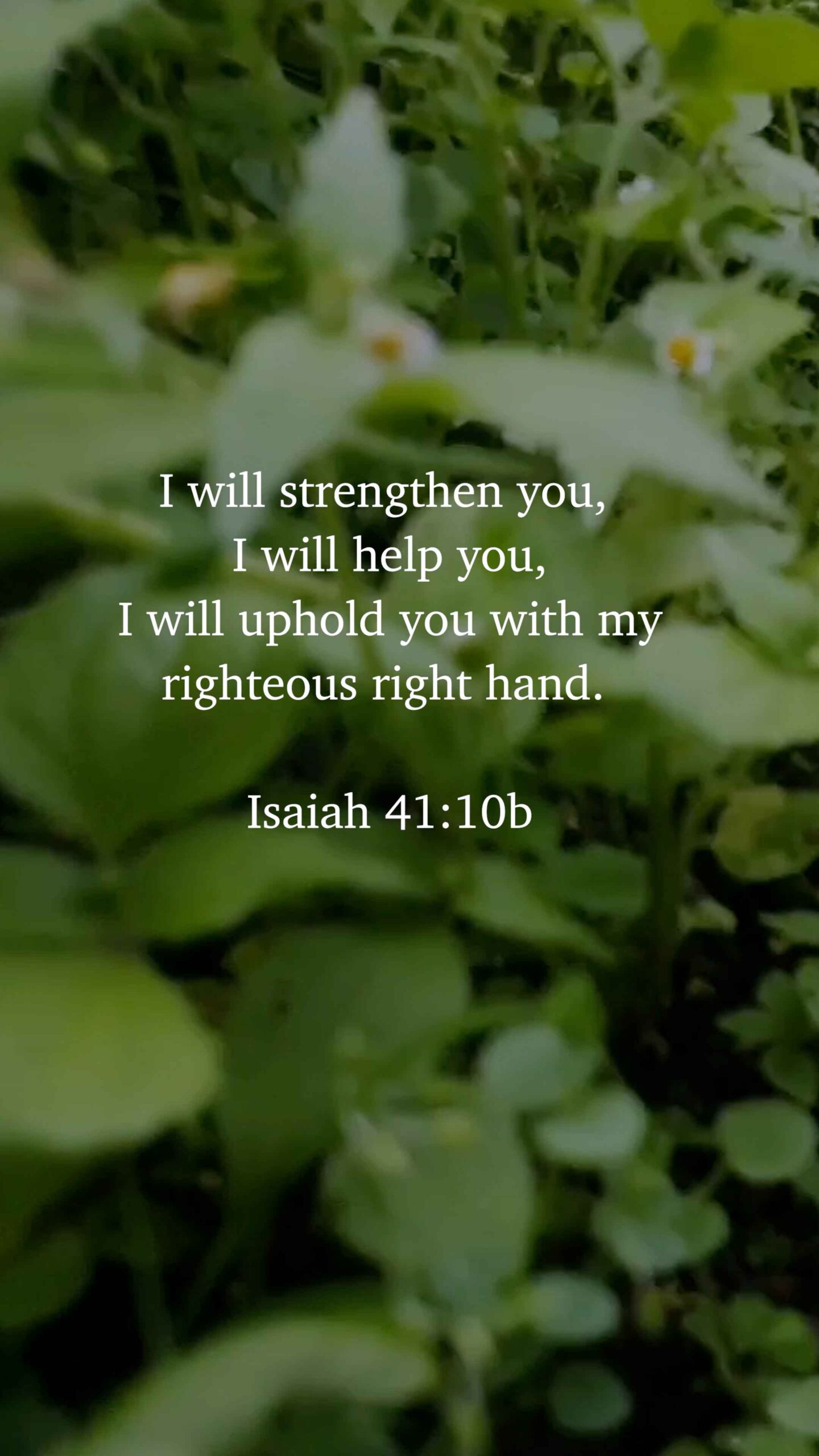 Isaiah 41:10b