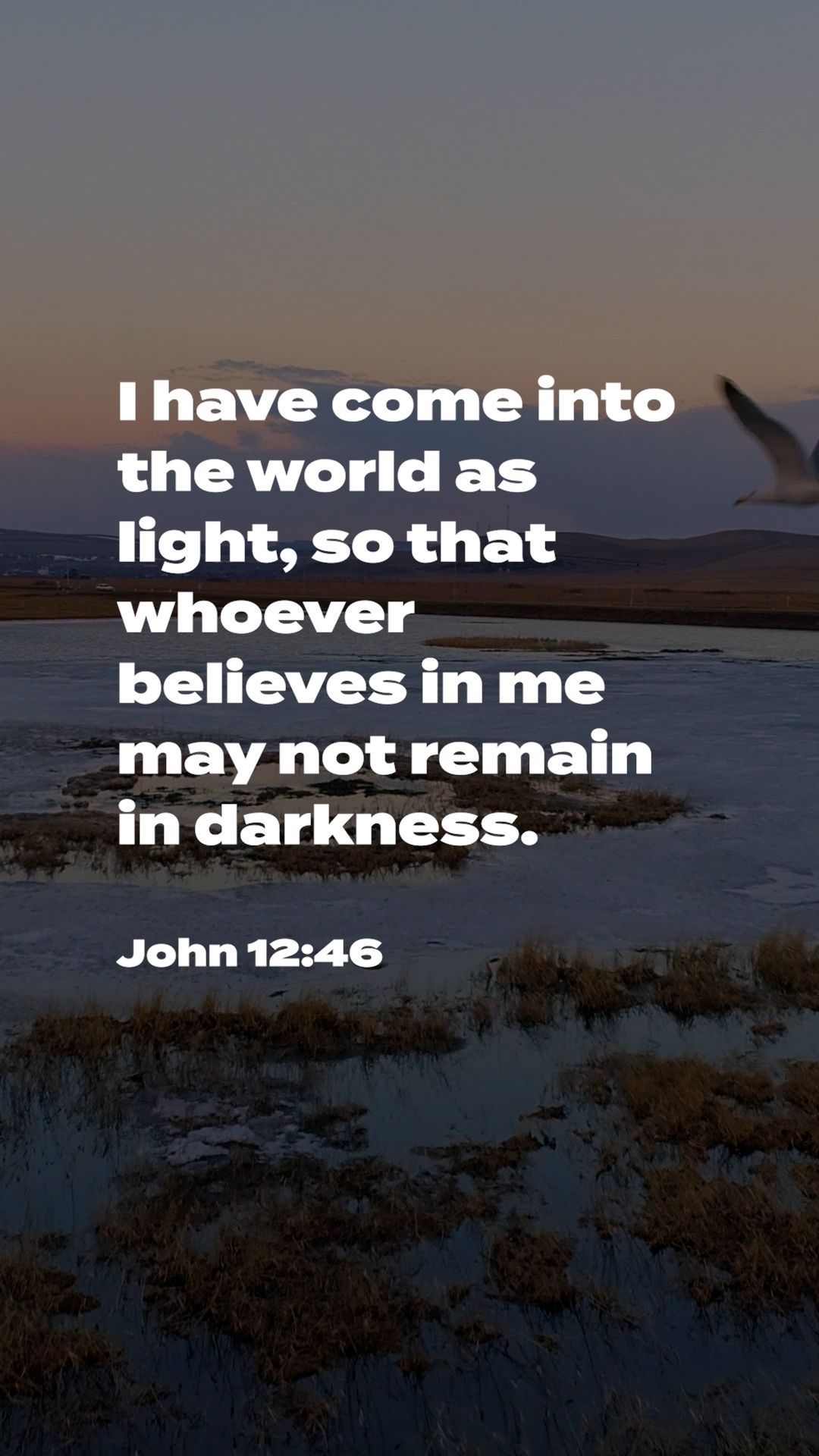 John 12:46