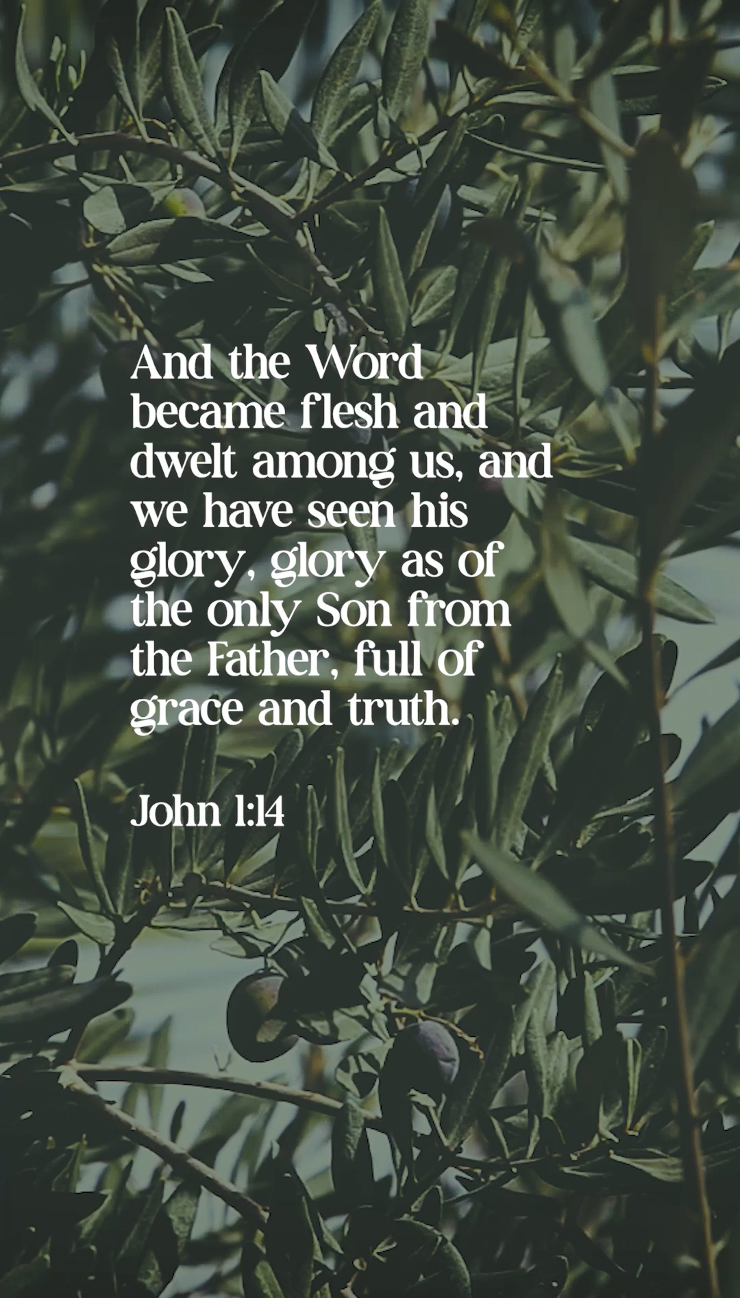 John 1:14