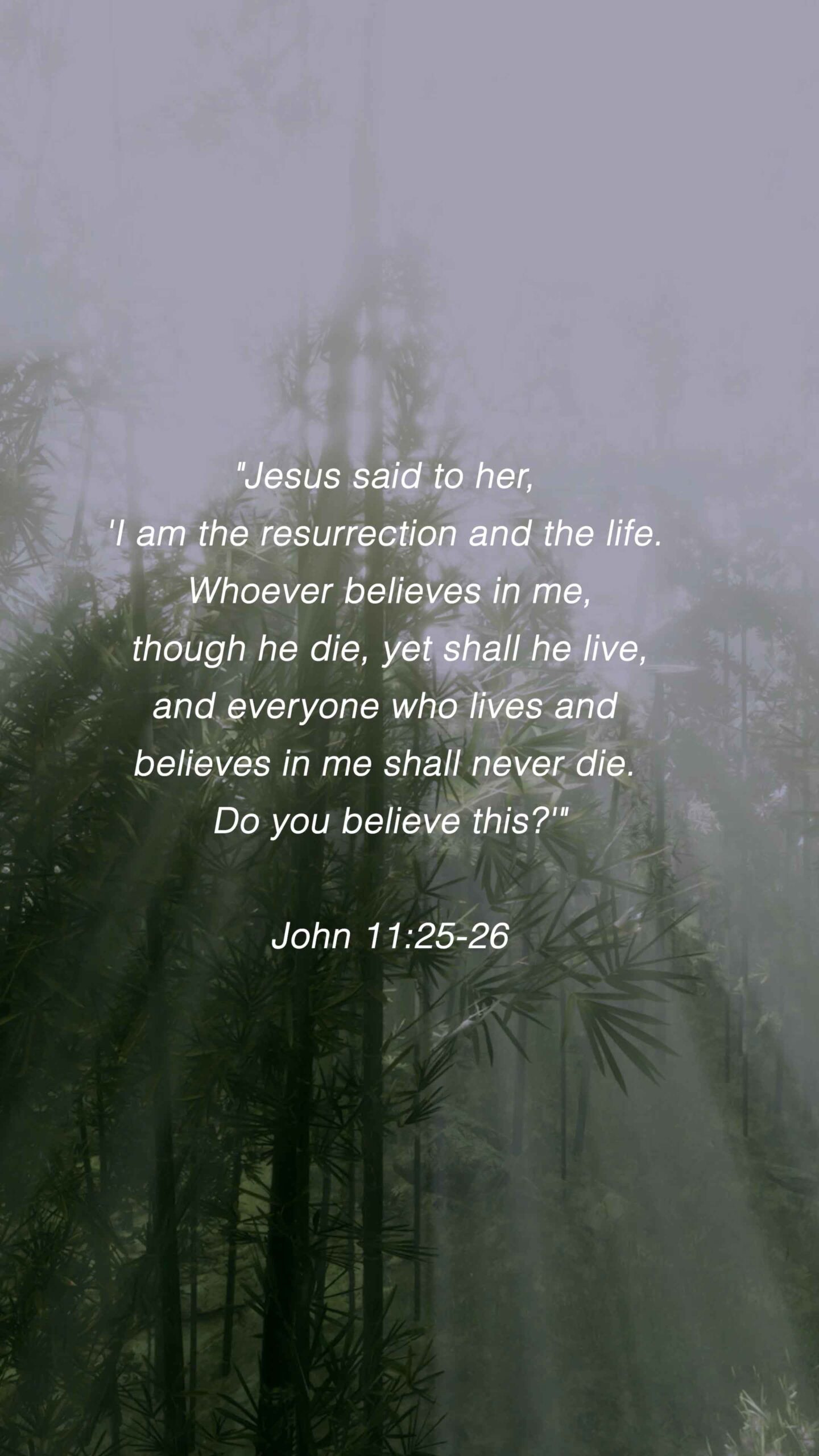 John 11:25-26