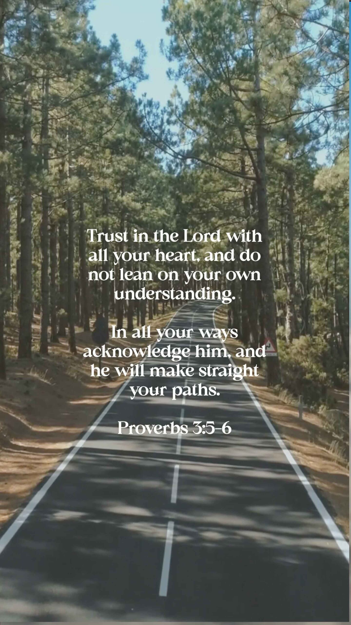 Proverbs 3:5-6
