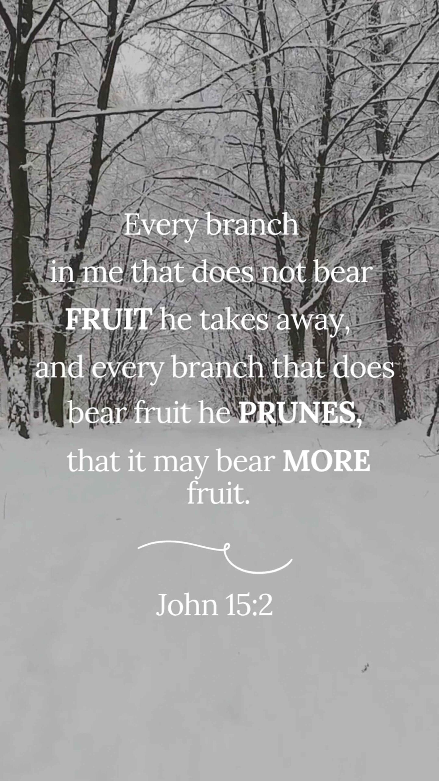 John 15:2